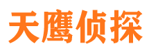 南澳市侦探公司